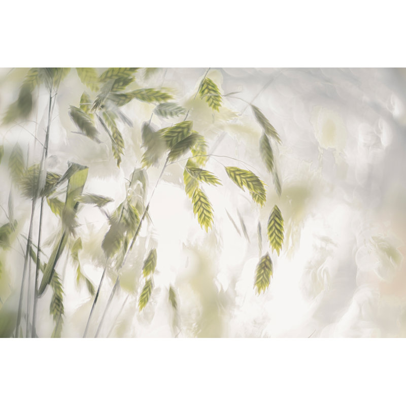 Reproduction sur toile tendue Eseli Talen, H 8 po x l 12 po