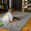 Nassau Area Rug-98419275-98419278