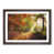 Walnut Framed selected