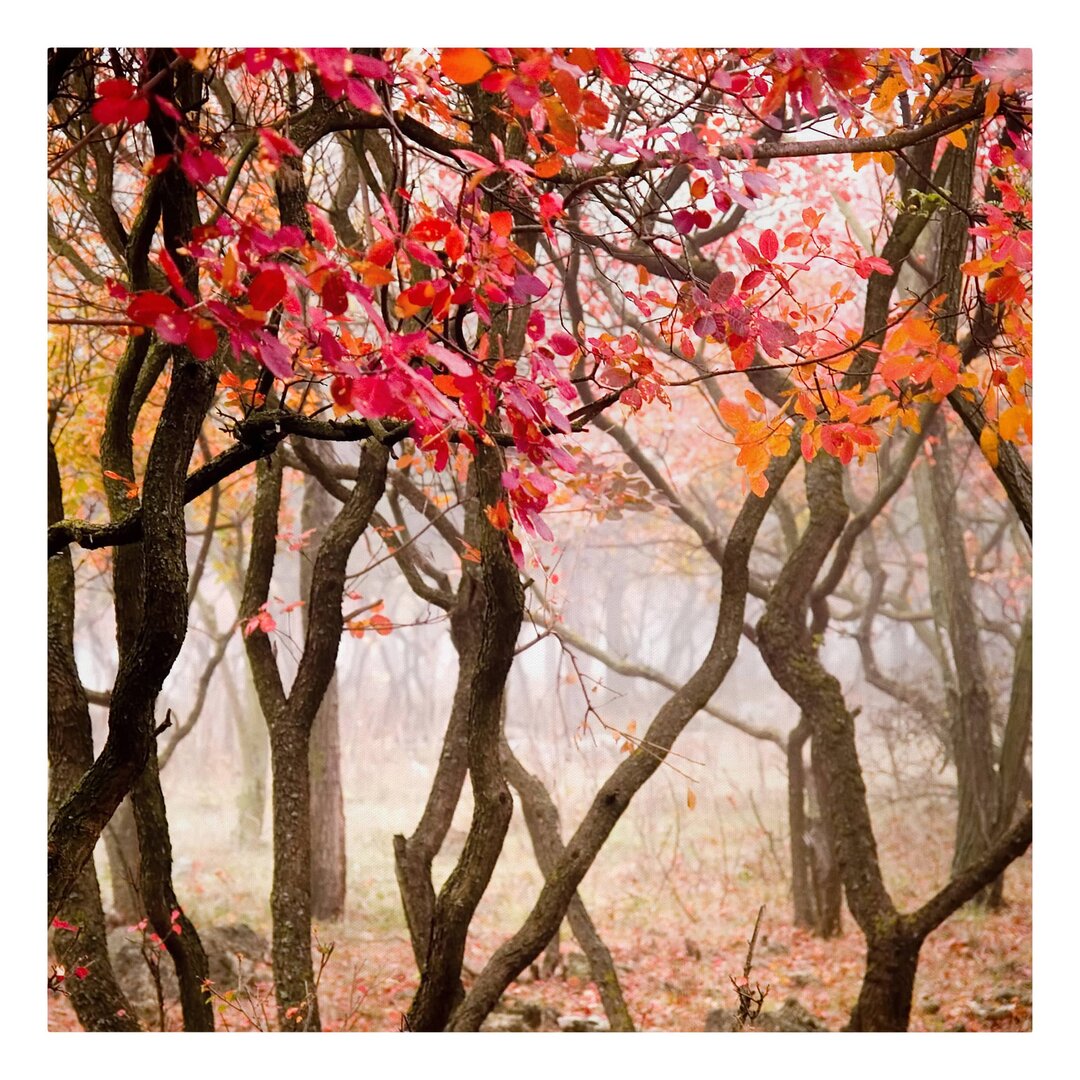 Leinwandbild Japan im Herbst