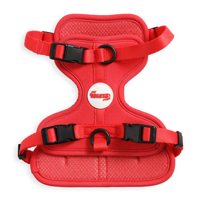 Arlo Adjustable Soft Padded No Pull Pet Harness with 3 Buckles and 3 Leash Clips