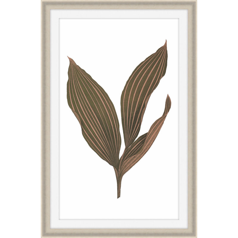 Daily Wish Brown 1 Print by Art House Studios, 17" H x 12" W x 1" D