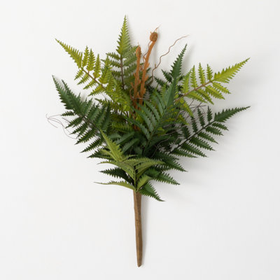 Mcpeak Fern Arrangement