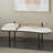 Laquesta Metal Upholstered Oval Abstract White Bench with Black Metal Frame and Rope Rod Backrest