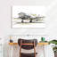 Mehar DC3 avion-107852737