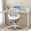Chaise de bureau ergonomique en filet avec accoudoirs, conception peu encombrante et base en acier-1697125963-1679359910