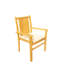 Cahyo Outdoor Teak Dining Armchair