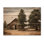 " Pine Tree Rustic Charm " Mixed Media and Color Photography Print