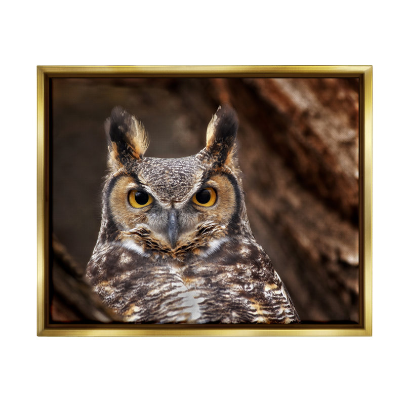 "Millwood Pines Horned Owl", photographie d'art sur toile flottante par Dennis Frates, H 17 po x l 21 po x P 1,7 po