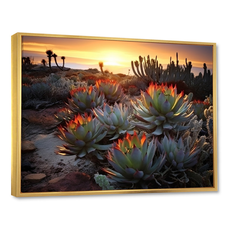 «Succulent Desert Cactus Field Burning Sunset III» - Art mural succulent, H 12 po x l 20 po x P 1 po, Cadre flottant doré