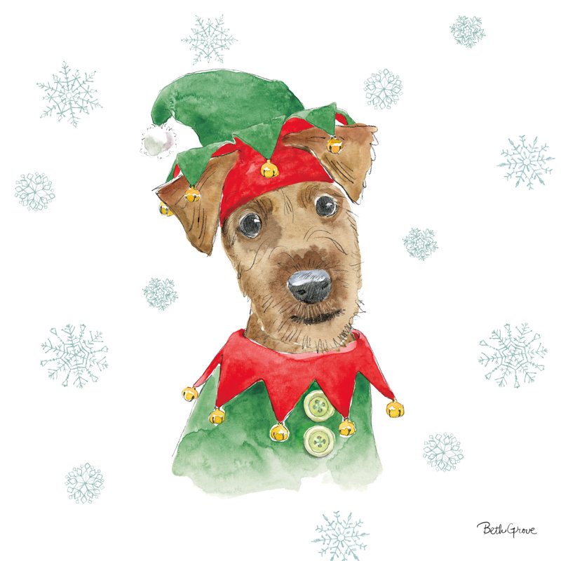 Holiday Paws VII by Beth Grove - Wrapped Canvas Painting, 50.8cm H x 50.8cm W x 3.8cm D