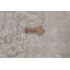 Tapis Tabriz à motif floral délavé Analiyah