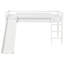 Single (3') Bunk Bed-1277408317