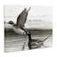 «Long Tailed Duck», art mural par Jadei-1377954822