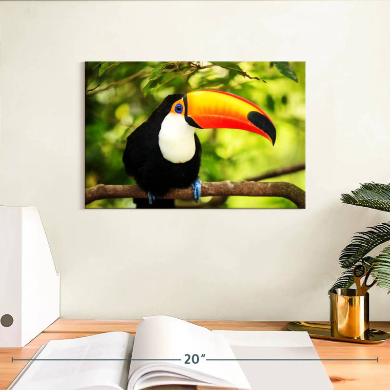 Brampt Toco Toucan, 8" H x 12" W