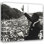 Martin Luther King Jr