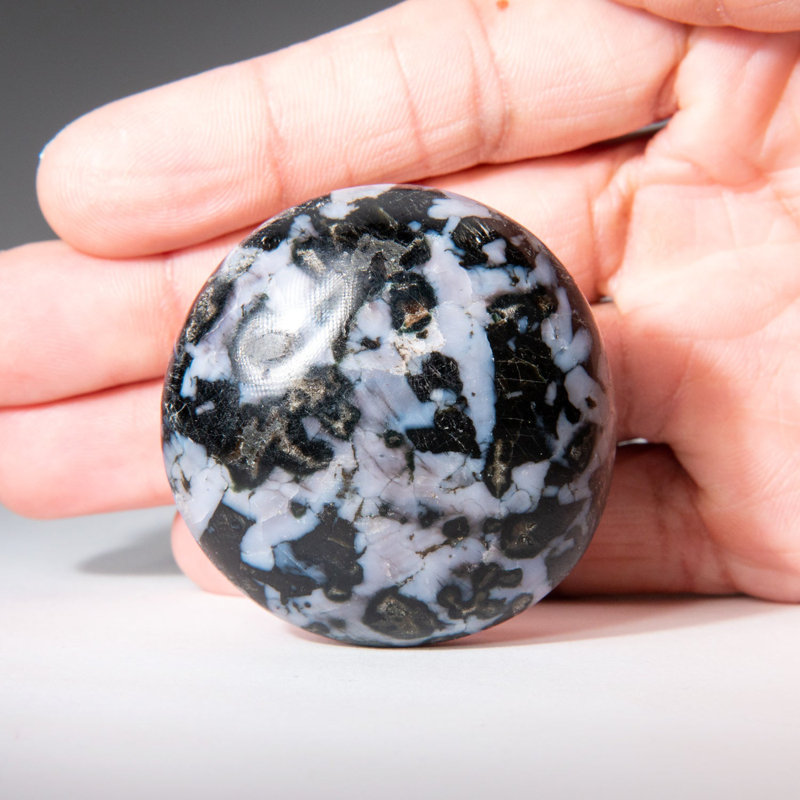 Genuine Polished Indigo Gabbro (Medium) Palm Stone