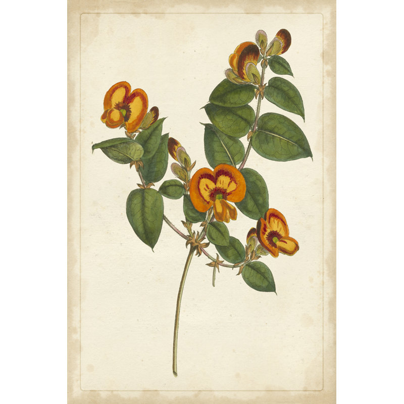 Vibrant Botanicals II - Wrapped Canvas Print, 46cm H x 30cm W x 3.8cm D