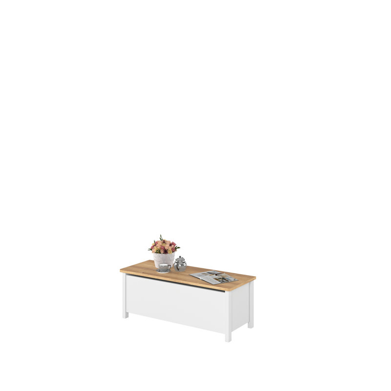 Needville Upholstered Bench with Cabinet