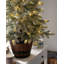 4' H Lighted Artificial Christmas Tree