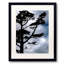One Crow In A Pin Print by Tom Kostes-65781194-65781193
