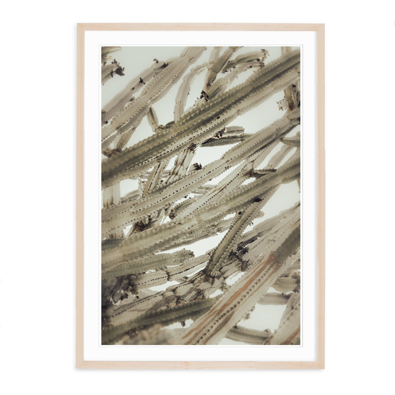 Cactus Abstract, 29" H x 40" W, Black