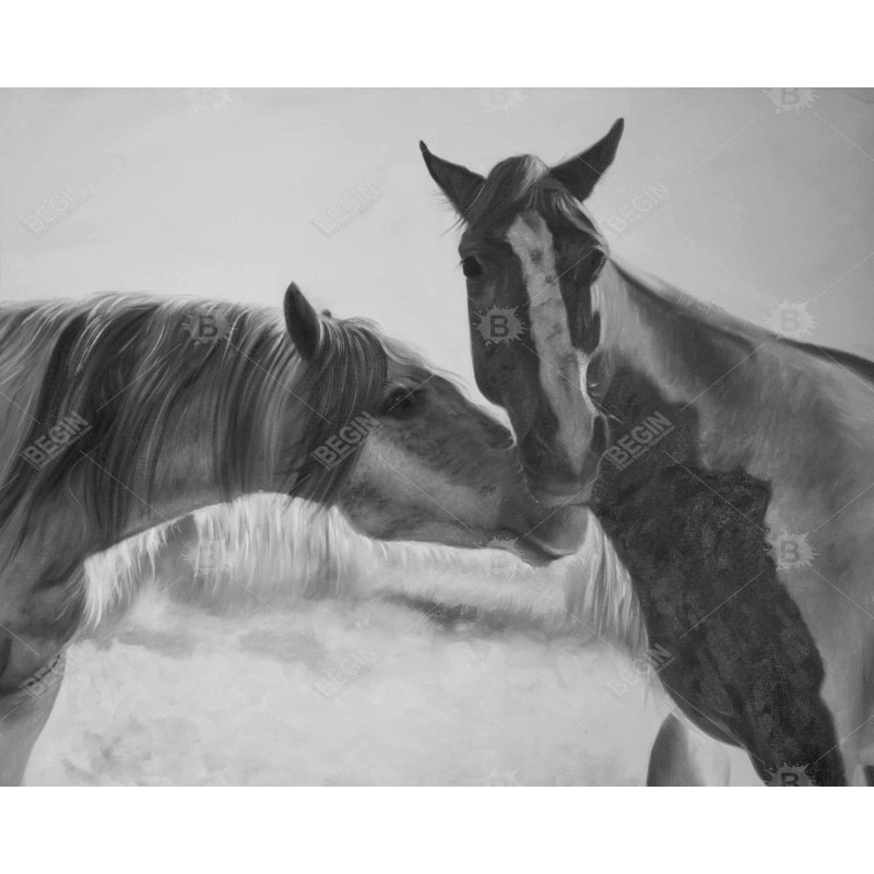 «Horses Lover Grey Living», art sur toile encadré pour la maison