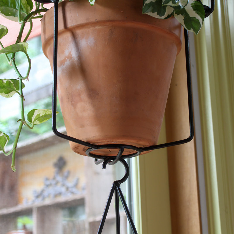 Black Wrought Iron Vera Plant Hanger Set for Indoor/Outdoor Use