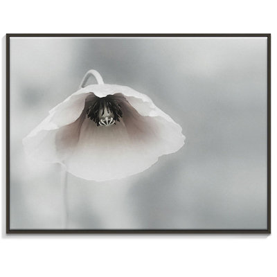 Print on Canvas
