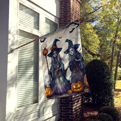Double Sided 40'' H x 28'' W Polyester Halloween House Flag