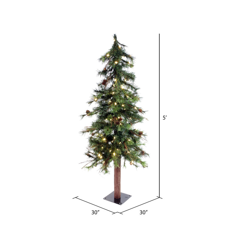 Galarza Lighted Pine Christmas Tree, 5' H