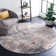 Hassell Abstract Light Gray/Gray Area Rug