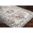 Addisyn Machine Woven Oriental Charcoal Area Rug-1867718307