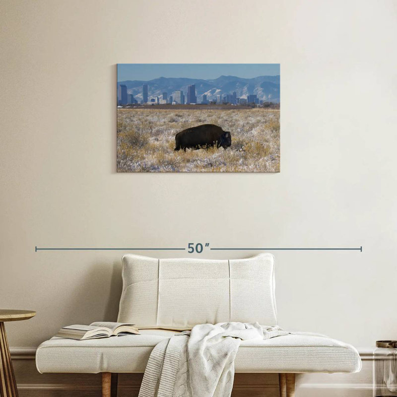 Brampt Denver Bison, 20" H x 30" W