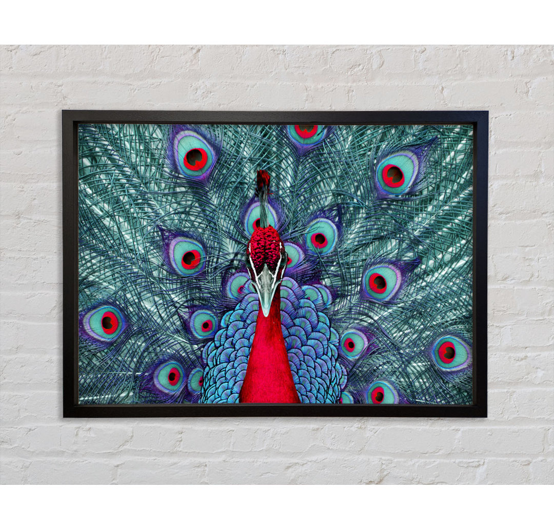 Peacock Beauty - Einzelner Bilderrahmen Kunstdrucke auf Leinwand