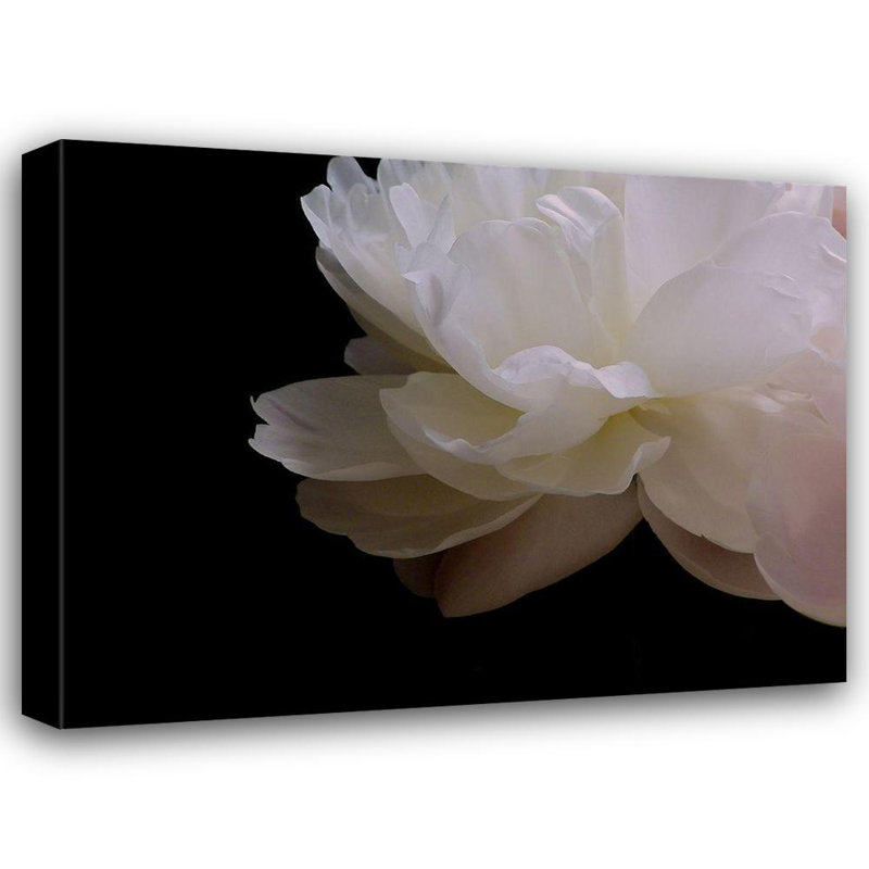 «Latitude Run® Burkhart, galerie Monika, art sur toile tendue: pivoine blanche I
