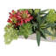 PLANT 27IN SUCCULENT ARRANGEMENT, GRAY POT-220848566
