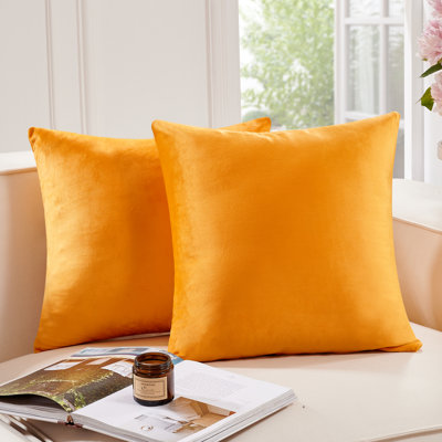  Housse de coussin carré en velours