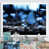White Single Picture Framed