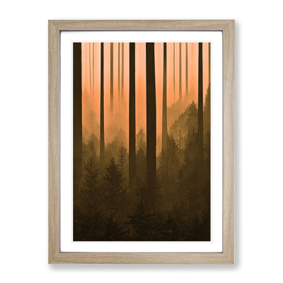Autumnal Pine Tree Forest - Single Picture Frame Print