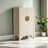 9 Pair Shoe Storage Cabinet