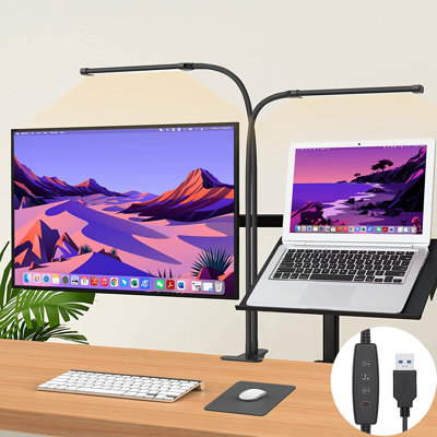 Abdelkarim Adjustable Clip On Lamp