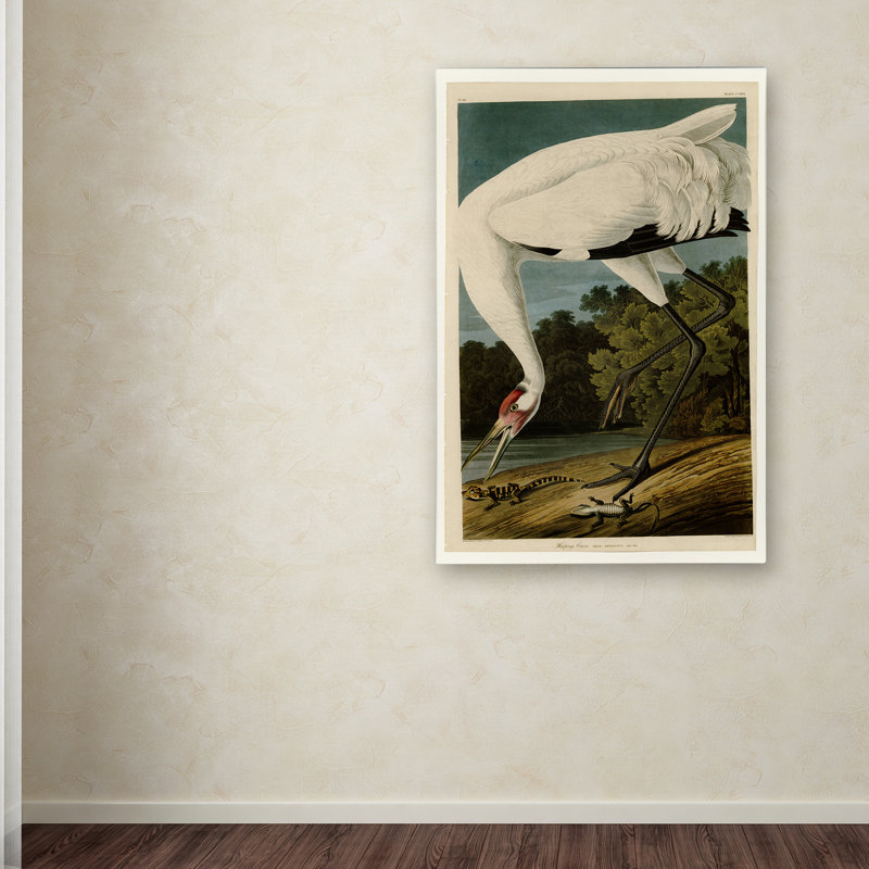 Whooping Crane Bird Portrait Canvas Art Print