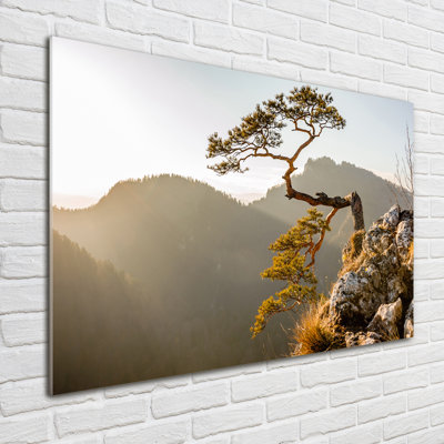 Sokolica Pieniny 1 Piece Wall Art on Glass