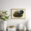 Pheasants From Gould's Birds Of Australia 7 Giclee Print by John Gould