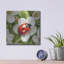 Art mural en métal luxueux «Ladybug Spring 1» par Momart-106415885