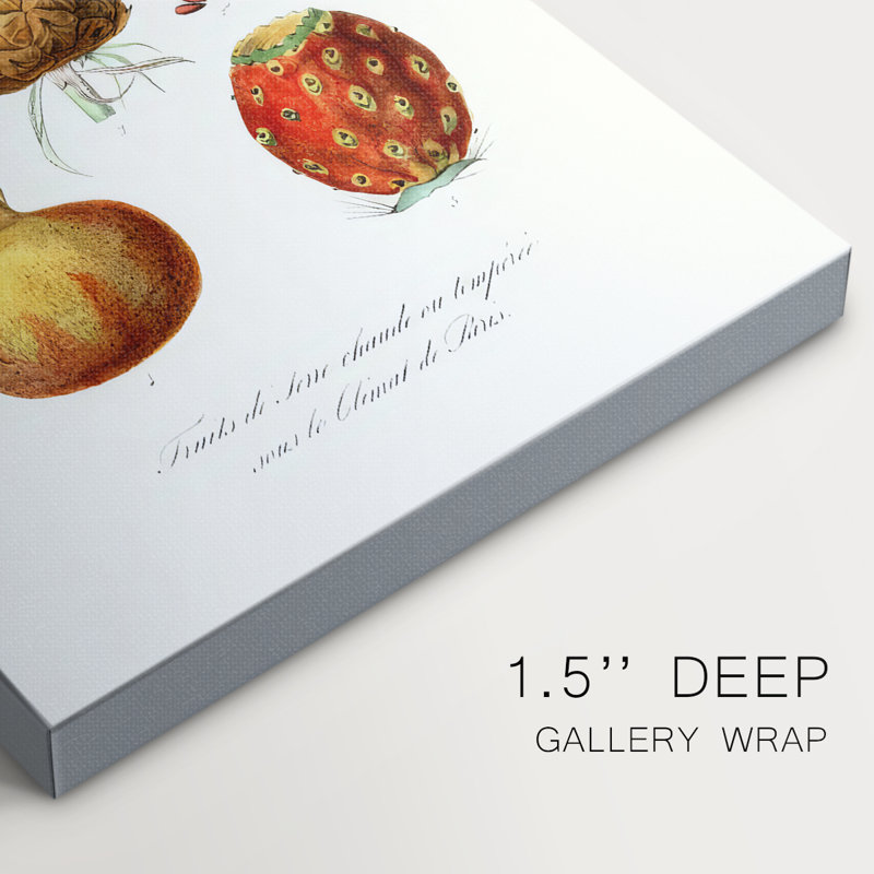 Variétés de fruits et de légumes V - Cavas enveloppés de galerie