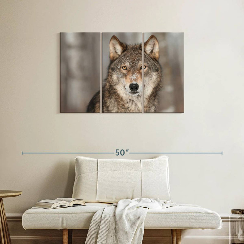 Gray Wolf Stare, 24" H x 38" W