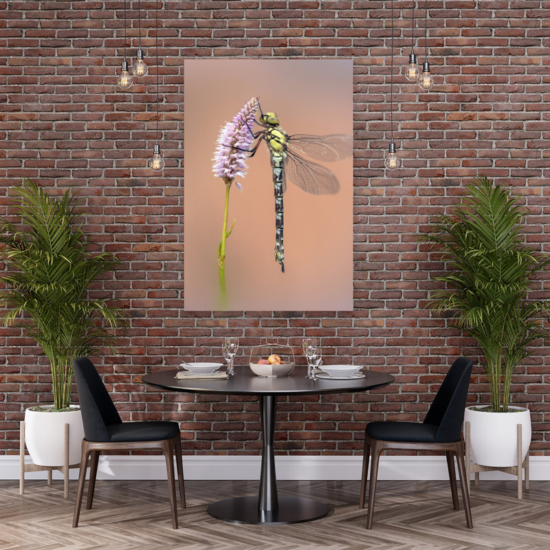 Dragonfly On Pink Blossom Delicate Peaceful Contemporary Dragonfly Flower Nature Wall Art Print 1 Piece Wrapped Canvas Wall Art