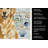 Golden Retriever Coastal Sea Glass Kitchen Towel-871464087